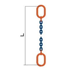 ВЦ (ветвь цепная)